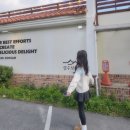 코디애견샵 | 차 | 일상 모음 | 지그재그 체험단 선정 후기 | 유니클로 슬라우치 삭스 후기 | 온앤온 패딩 | 겨울 코디