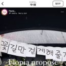 플로피아 이미지