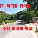 모담산 유아숲체험원 이미지