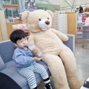 바니베어뮤지엄 이미지