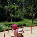 쇠평어린이공원 놀이터 이미지