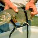 (주)몸부림 이미지