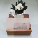 아띠살롱 이미지