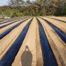 하고산경로당 이미지