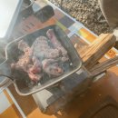 월악 한울캠핑장 | 제천 월악 한울오토캠핑장 루프탑 차박 후기