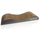 네꼬모리 이미지