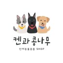 켄과콩나무 이미지