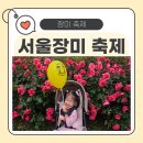 중화역3번출구주변 | [2025 중랑 서울장미축제 방문기] 중화역 출발, 이화교 방면 입장! 진짜 예쁜 장미길 후기