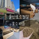 효소지음 이미지