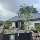 스테이정연 | 제주도 가족여행 숙소 독채펜션 스테이정연 후기 / 제주도 서귀포 가족 숙소 내돈내산 솔직 후기