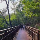 무장애숲 이미지