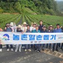 명호면사무소 이미지