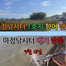 왔다과메기