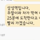 펫캡 이미지
