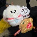 11545-10-28-19 | 251226~28 후쿠오카 여행 후기 a.k.a. 투바투 후쿠오카 돔투어