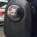 오라고동물병원 이미지