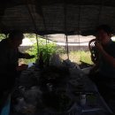 벌말농장 이미지