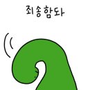 카페, 물마루 - 34742 | 카페, 물마루