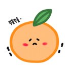 꼬뜨도르