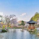 아침고요수목원 축제 일정 입장료 완벽가이드