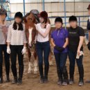 (주)신갈승마클럽 이미지