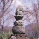 진주 충의사 이미지