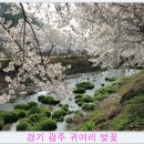 정암의원 이미지