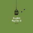 도시에 이미지