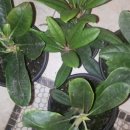 에바다농장 이미지