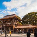 유신여행사 이미지