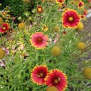 남양보건지소 이미지