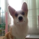 노엘농장 이미지