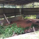 진배농장 이미지