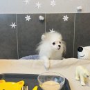 멍스토리 이미지