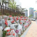 종촌동_중앙프라자 앞 네이버블로그
