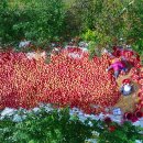 풍년축산 이미지