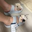 현대정형외과의원 | 🌙 족저근막염 치료 후기(신림 정형외과, 체외충격파, 도수치료 등) | 강남삼성정형외과