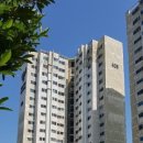 몰운대아파트102 티스토리