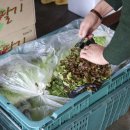 군남농장 이미지