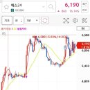 에스와이컴퍼니 이미지
