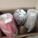 불곰PC | 열매달 이틀 랜덤박스 시즌4 나름 _ 성공 후기