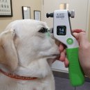 방주동물의료센터 이미지