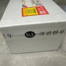 키비주얼나인 | [내돈내산] 미슐랭급 투쁠나인한우 홈파티 즐기기! 극진한우 늑간살 내돈내산 후기