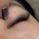 주식회사 케이글로벌리더아카데미 | 속눈썹수강 창업 성공의 비밀, 기술을 넘어 '글로벌 아비투스'를 전수하는 더케리 [The Carrie]