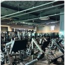 피플짐 | 청라에서 짐80 머신 제대로 써본 후기! 머슬피플 피트니스 찐후기