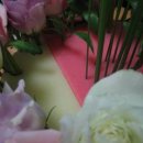 레인보우디자인 이미지
