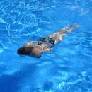 어푸어푸 이미지