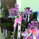(주)삼배 이미지