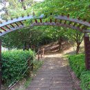 서농동게이트볼장 이미지