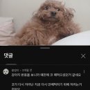 새벽